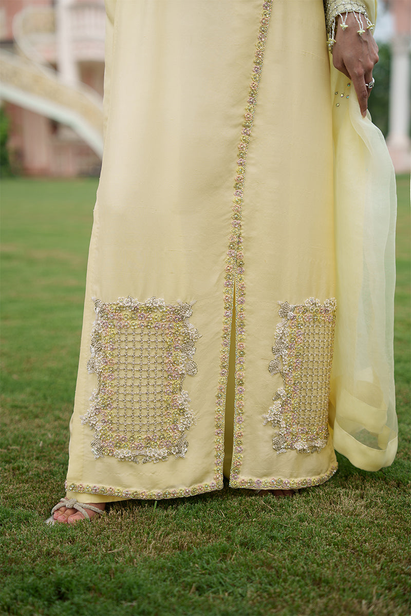 Daffodil Haze
