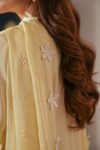 Daisy