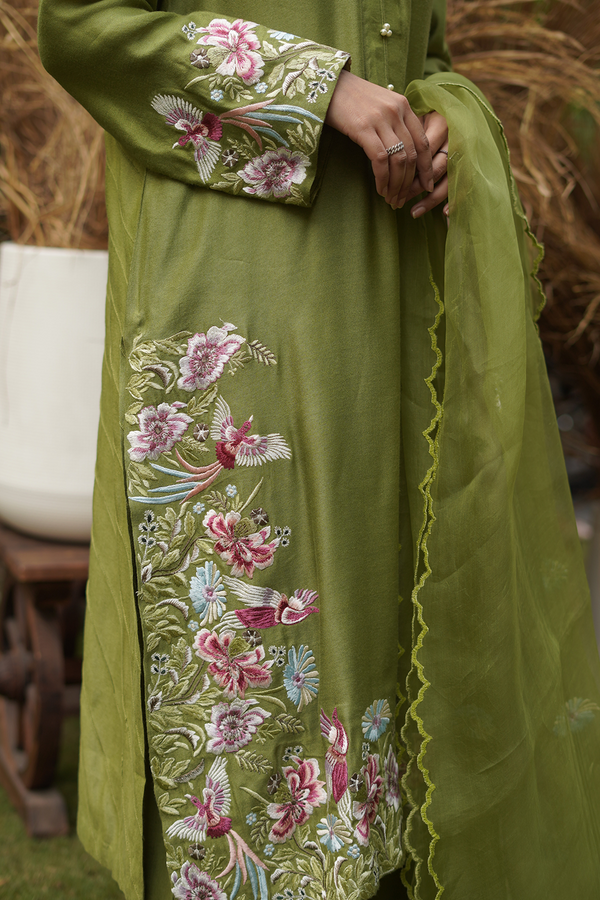 Shanzay - Shop By Alara Latest Collection